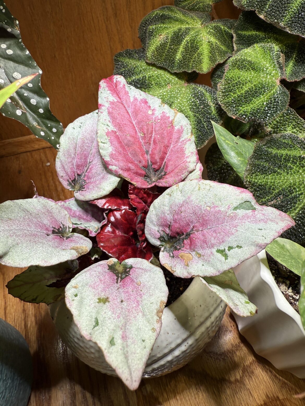 Anyone else getting this?