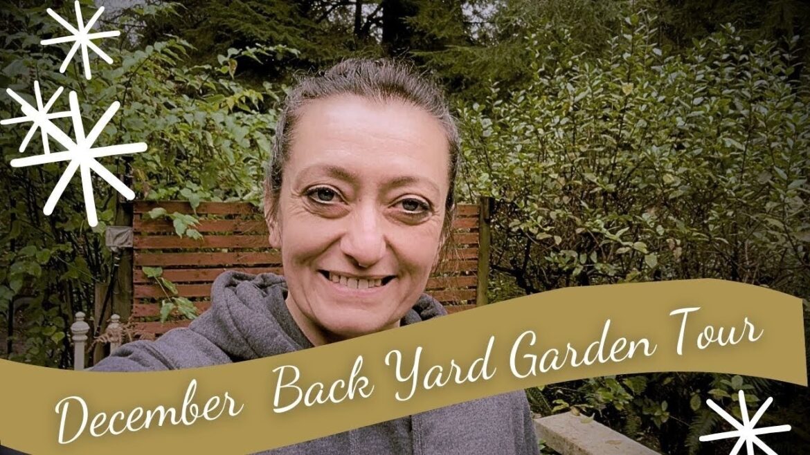 Winter Gardening Reality Check: My Honest Garden Tour Winter Gardening Reality Check: My Honest Garden Tour