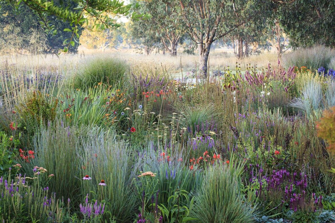 First high-summer opening for Barwitian Garden