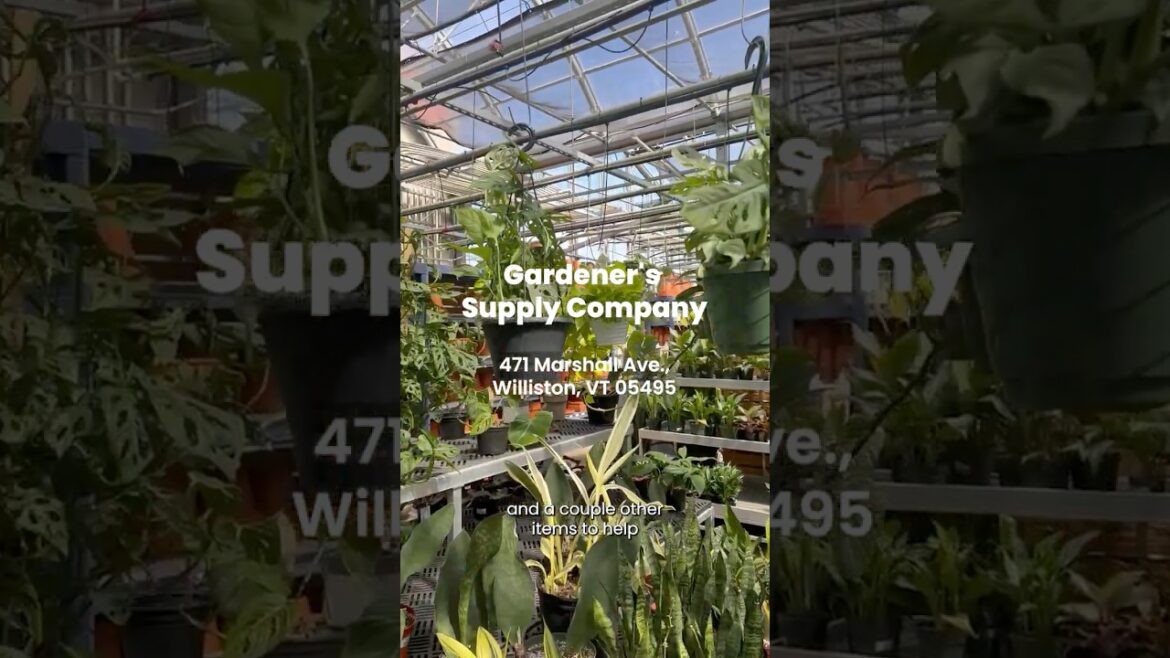 Come shop for gardening supplies with us 🌱 Come shop for gardening supplies with us 🌱