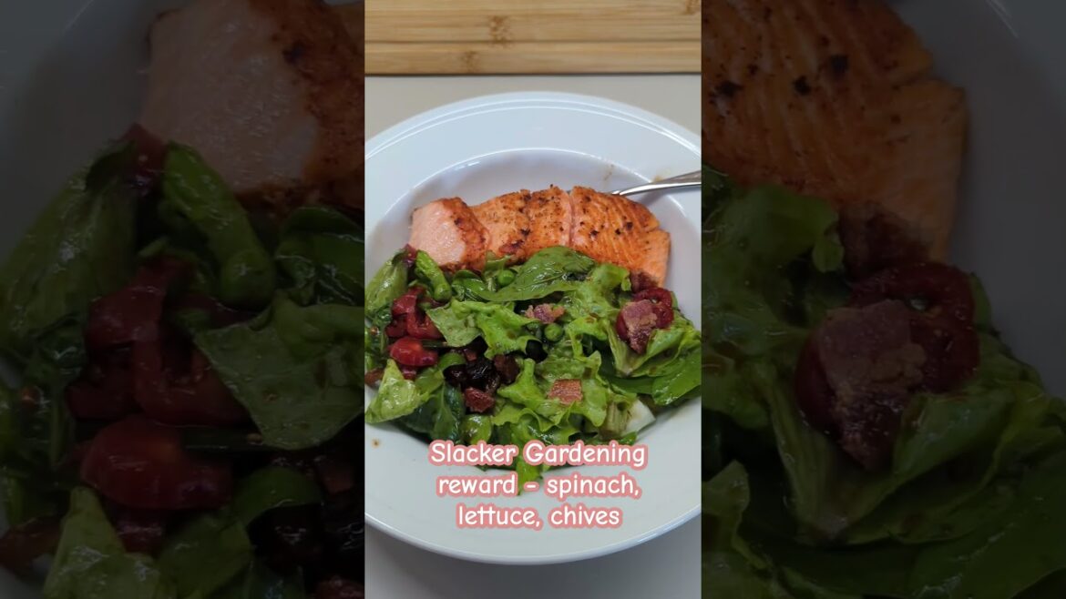 Slacker Gardening reward - Lettuce, Spinach, chives #gardening #growyourownfood #GardenLikeASlacker