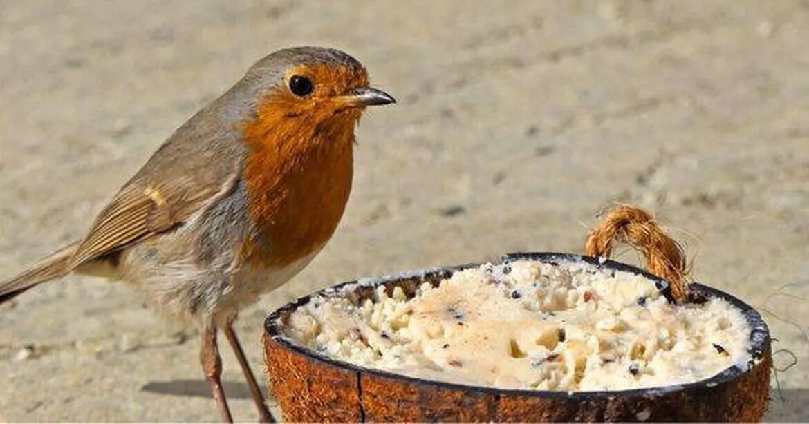 Nottinghamshire Live