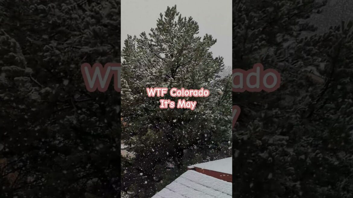 May Snow #gardening #snow #teenytinydiva