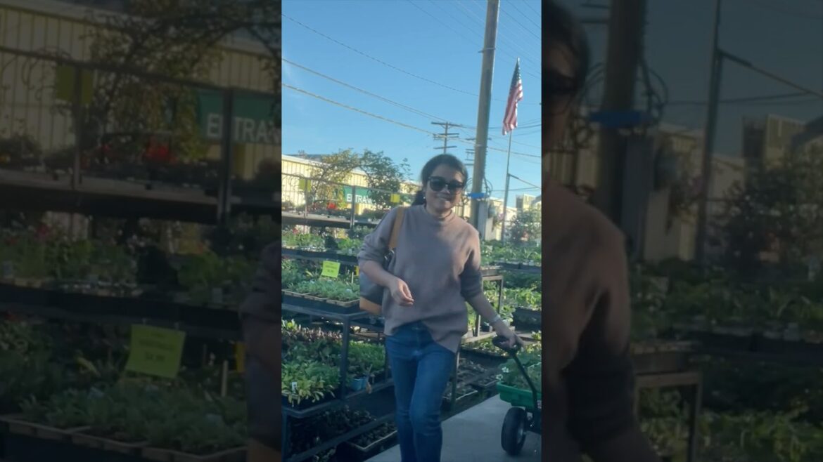 Winter Gardening in Los Angeles, California #shorts #gardening #urbangardening #organicgardening