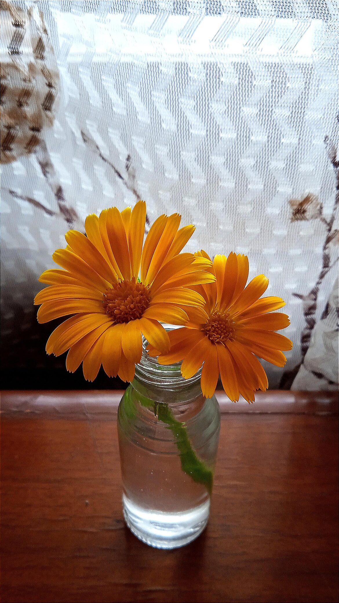 Tiny flowers in tiny containers are so cute to me 🥺🌼