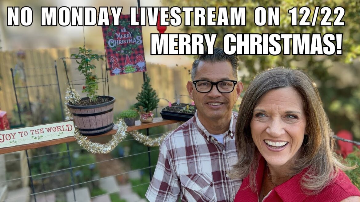 No Monday Livestream 12/22 - Back on 12/29 | Merry Christmas!