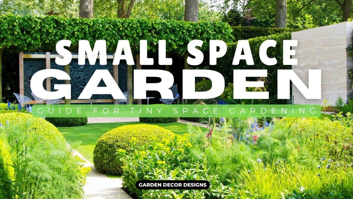 WONDERFUL! SMALL SPACE GARDEN LANDSCAPING DESIGN IDEAS | ULTIMATE GUIDE FOR TINY BACKYARD GARDENING