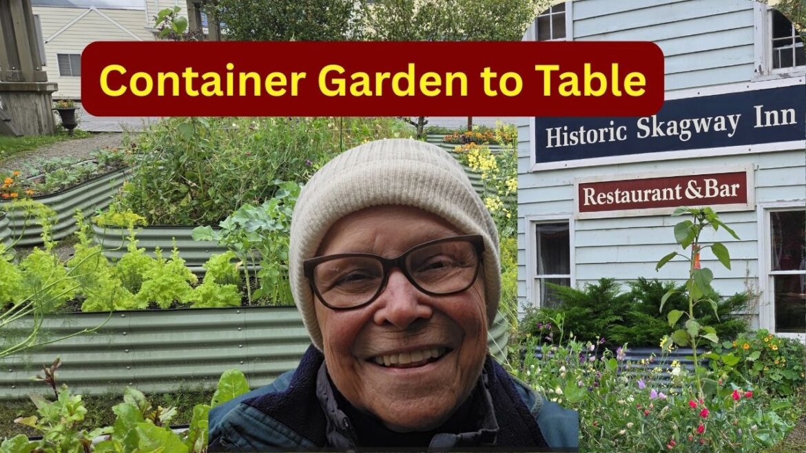 Garden to Table - Easy Container Gardening in Alaska