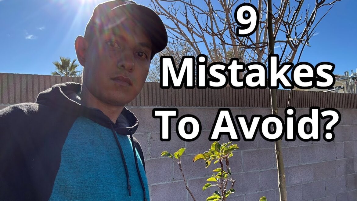 Year End Reflection | Next Year's Garden Plans