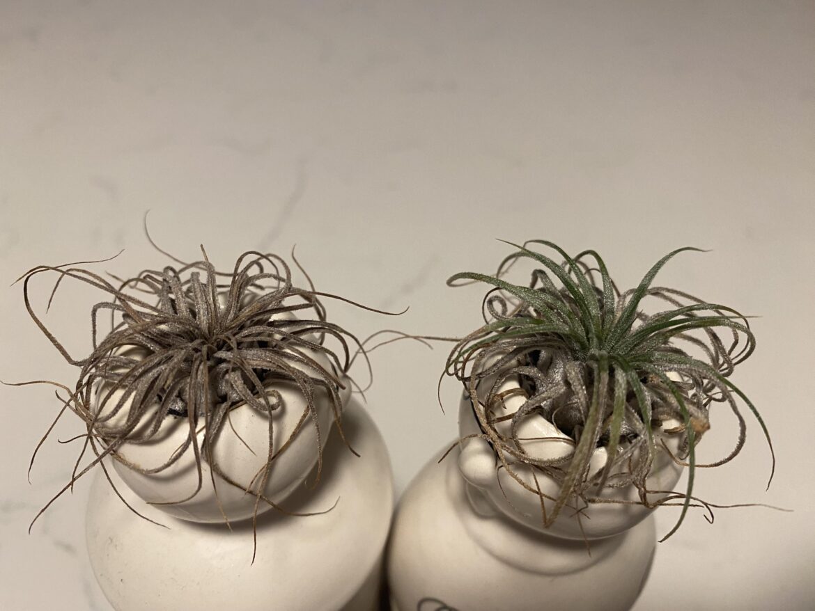 Is there hope for these guys..?