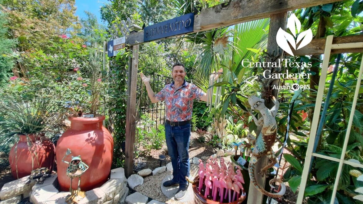 Creating Moods in a Regular Backyard