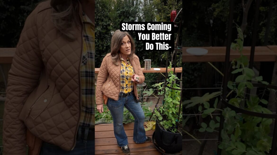 Protect Your Vining Plants Or Else….Storm Coming to L.A.
