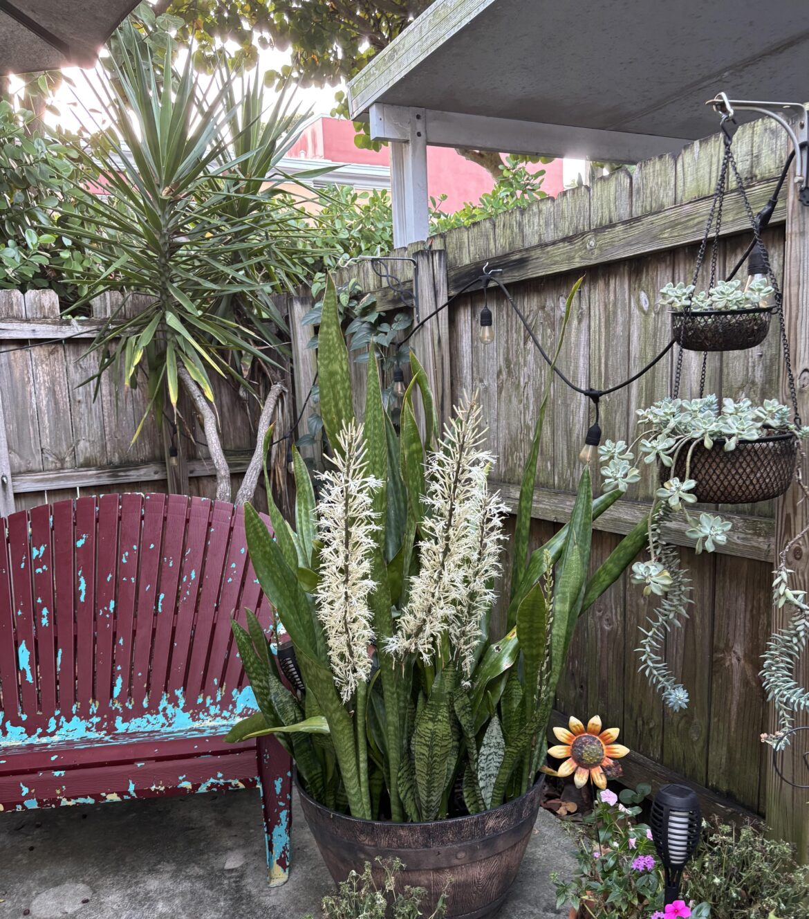 I’ve never seen her do this!