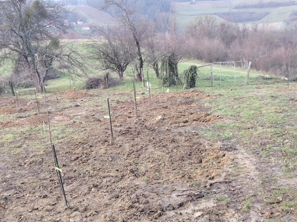 Orchard project is finally done!