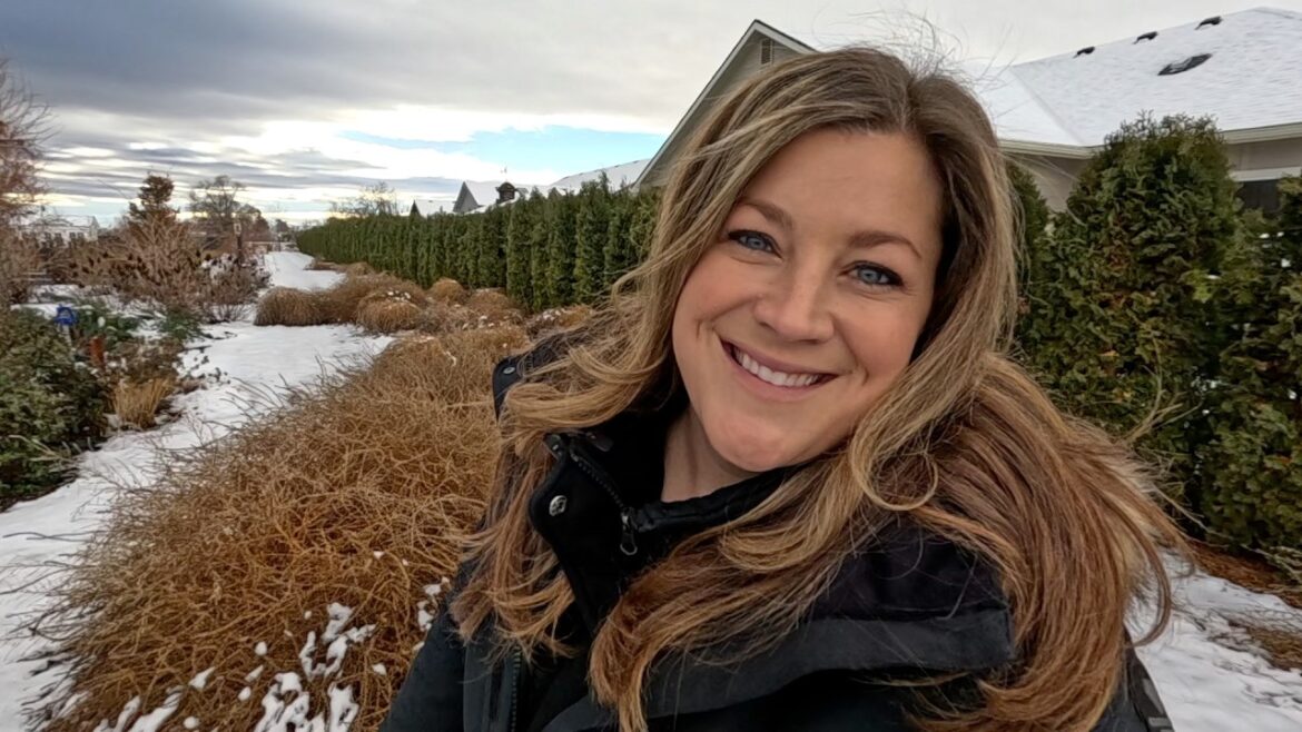 Cleaning Up SO Many Tumbleweeds + Moving & Trimming Up a Large Olive Tree! 🥴🌳✂️