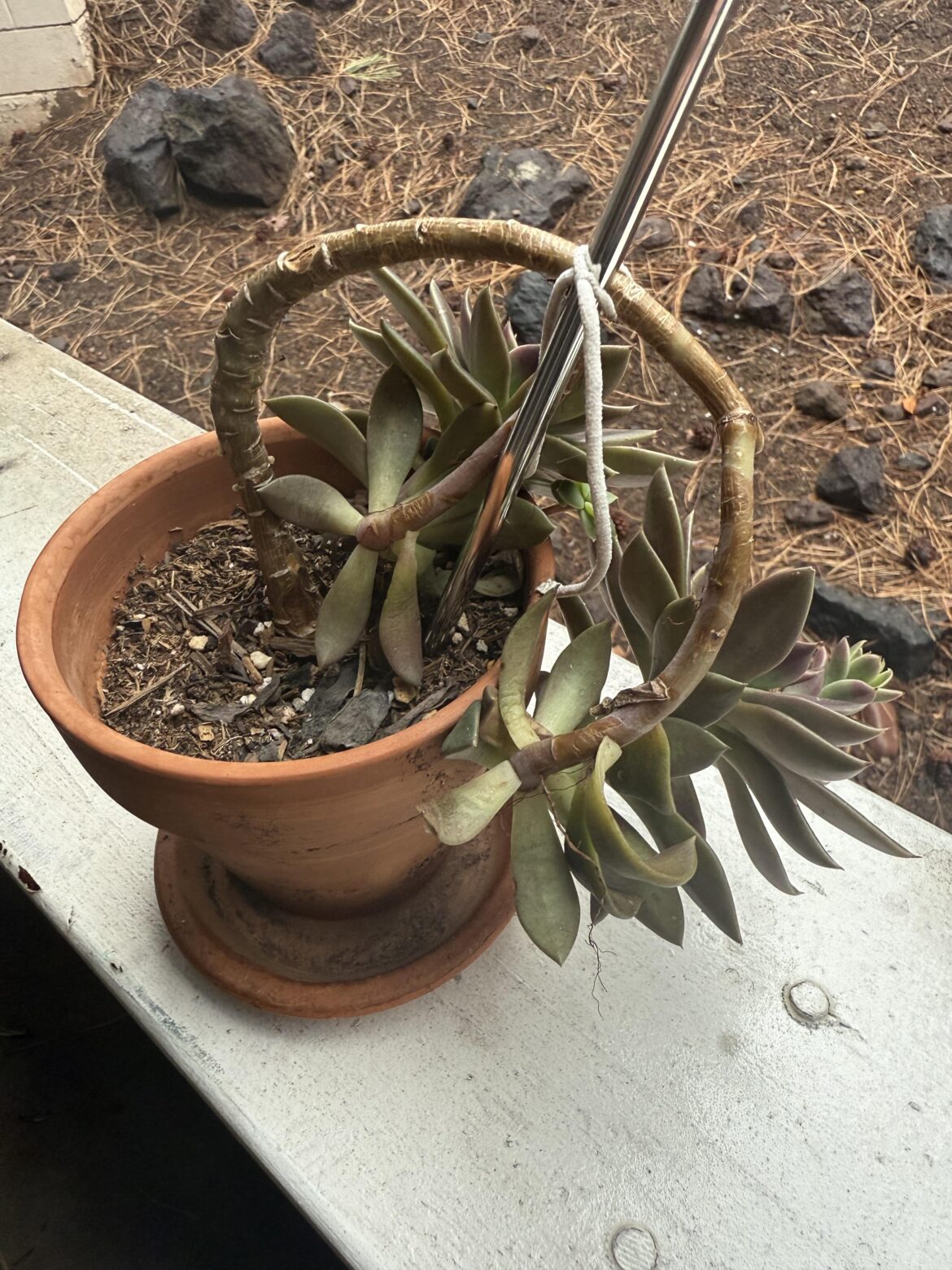 Help with Propogation