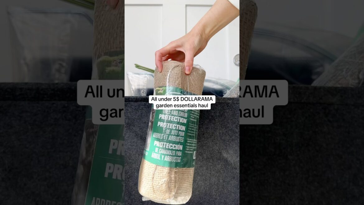 Dollarama is a great place to shop for tools! #music #garden #dollarama #haul #useful