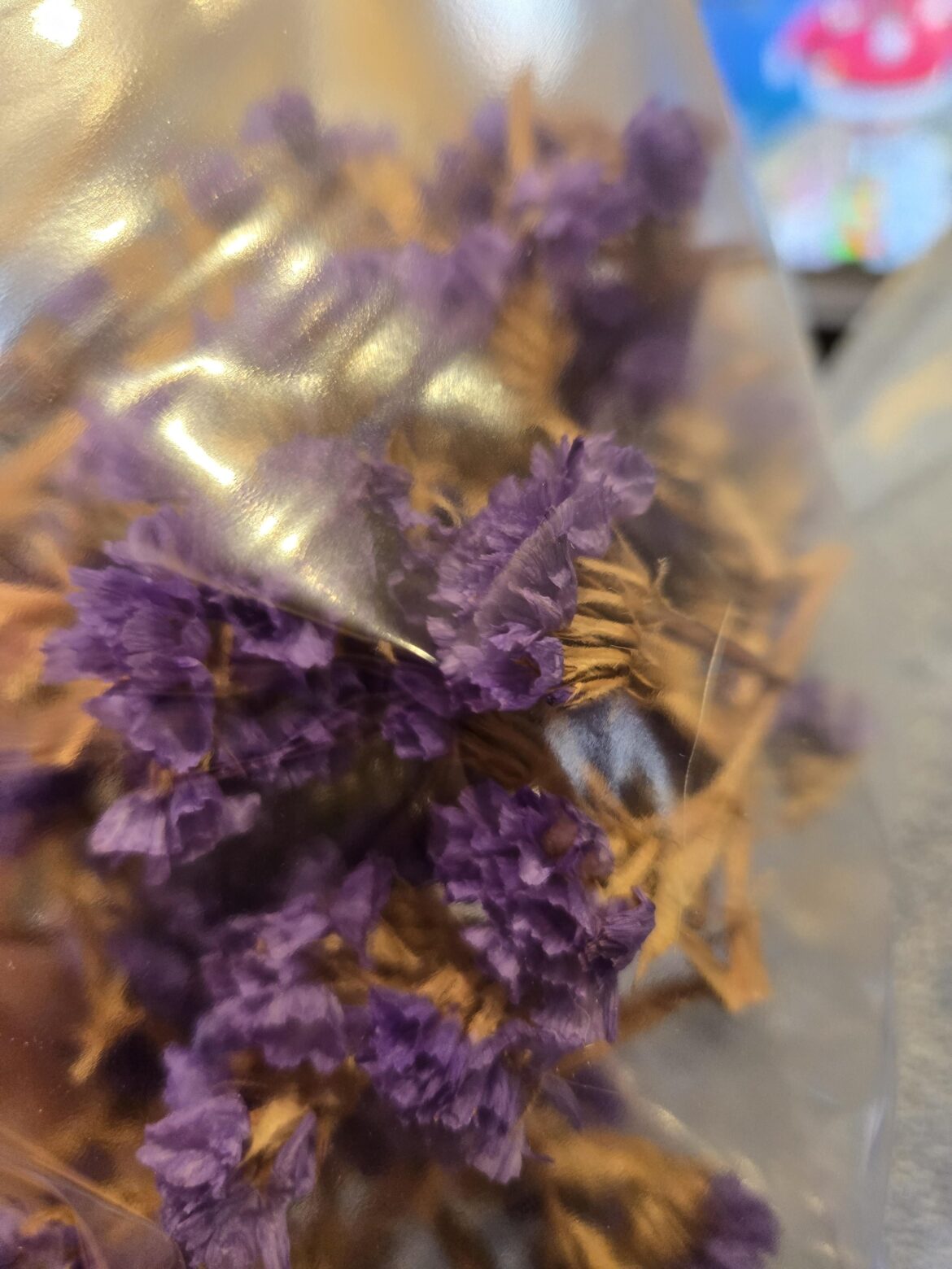 What Dried Flower is This?