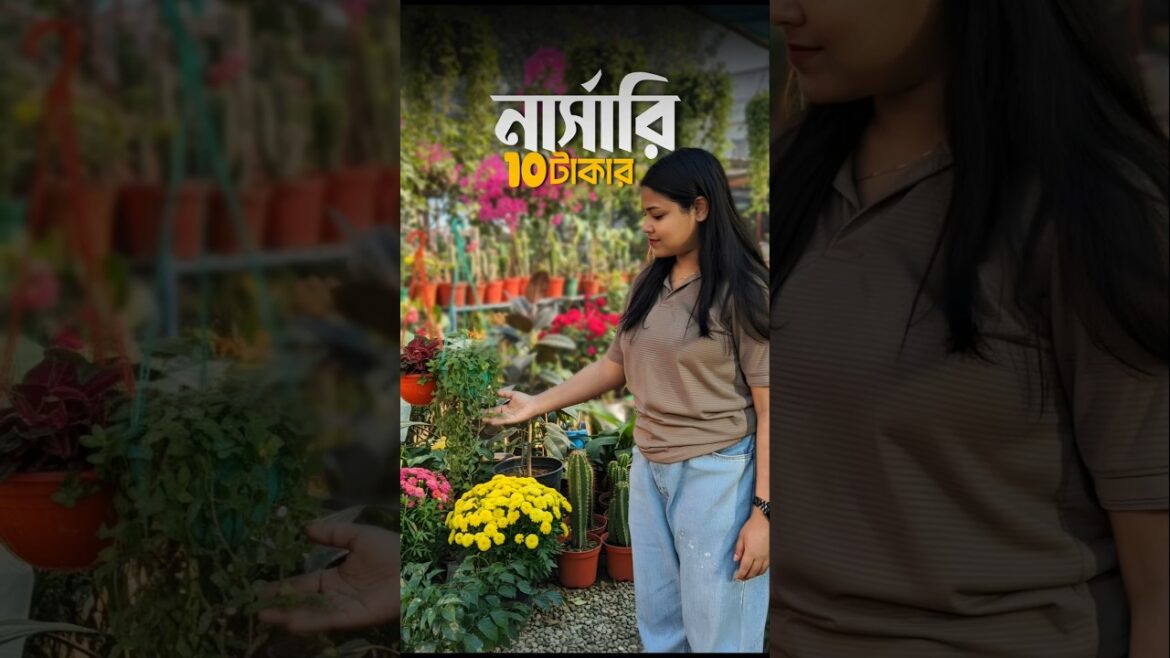 মাত্র ৫ টাকা ১০ টাকার গাছ? 😰🌱 #shorts #minivlog #bengali #lifestyle #gardening