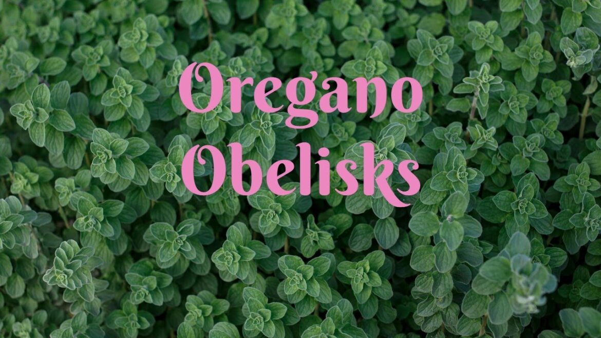 Mastering Oregano Container Gardening