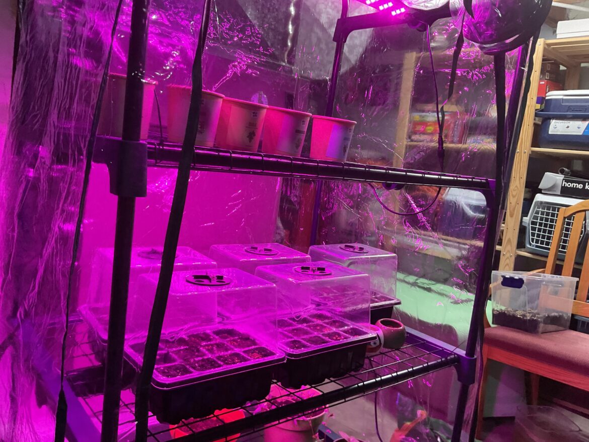 My new set up I got at Christmas 🌱