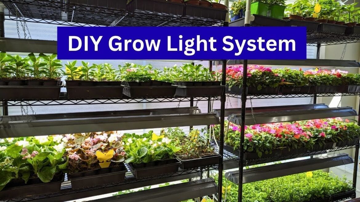 DIY Grow Lights For Seed Starting | Indoor Grow Room || Budget Gardening