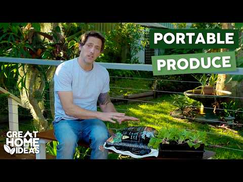 Inspiring Vegetable Garden Ideas For Any Home | Great Home Ideas Inspiring Vegetable Garden Ideas For Any Home | Great Home Ideas
