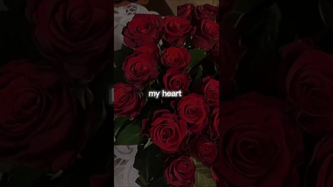 POV: Your Emotions #flowers #love #greenlove #rose #pqueen #2.0#2026#new#tranding POV: Your Emotions #flowers #love #greenlove #rose #pqueen #2.0#2026#new#tranding