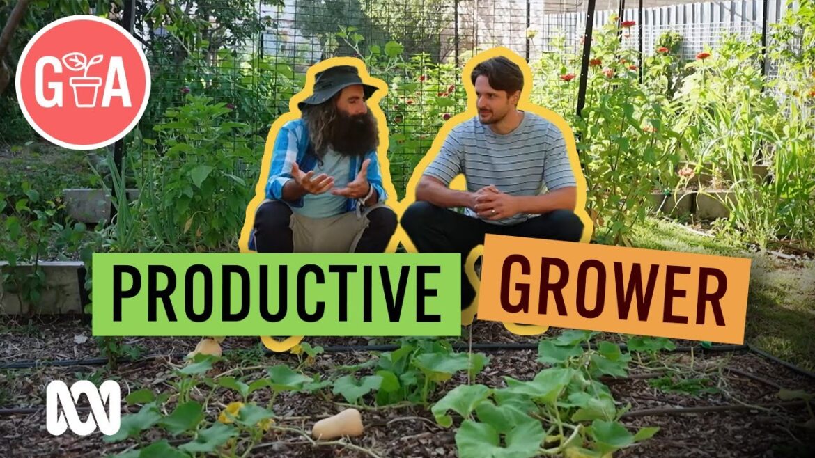 We Meet Vegie Grower and Composter @ben.strong  | Growing Fruit and Vegies | Gardening Australia