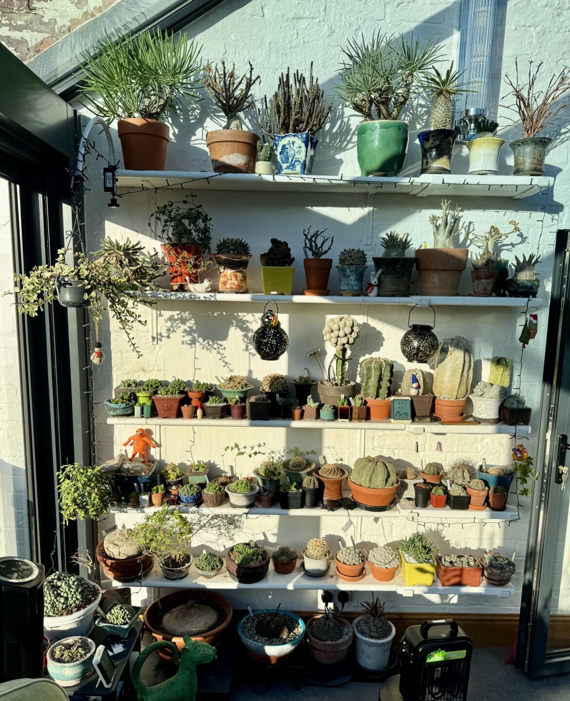 My main shelf- Happy Boxing Day!