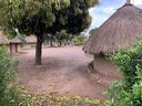 A thatch roof home in northern Uganda. (John DeGroot photo)