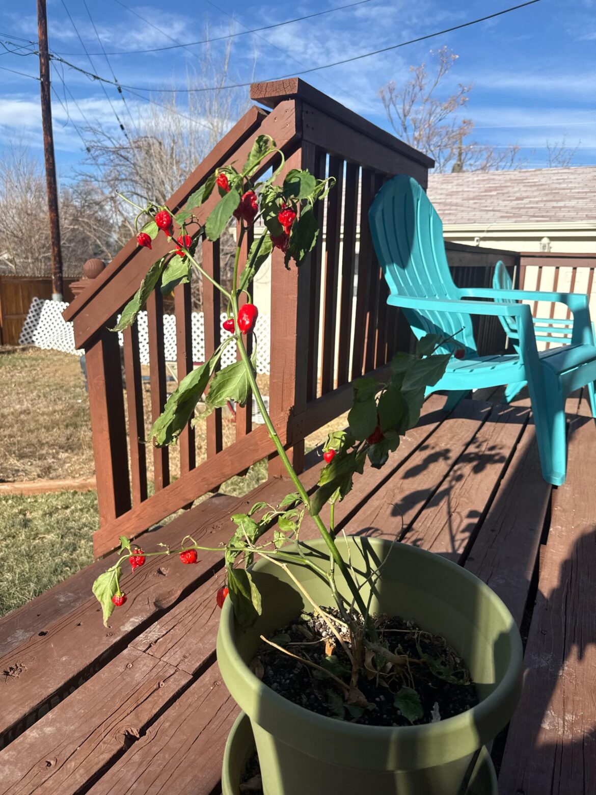 Is there any way to save this?