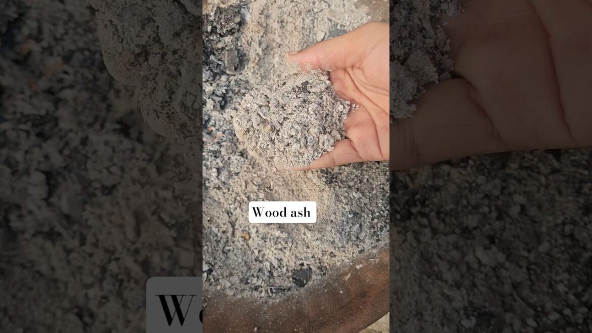 wood ash ke fayde  #gardening #fertilizer #youtubeshorts
