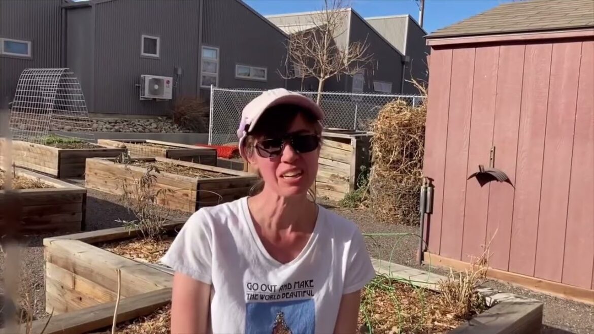 Vegetable Gardening for Pollinators