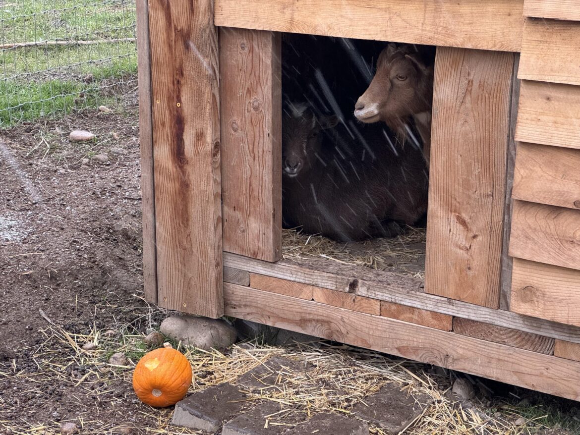 Poor Girls Hate Rain