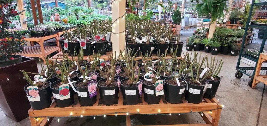 It’s time to freshen things up – Marin Independent Journal It’s time to freshen things up – Marin Independent Journal