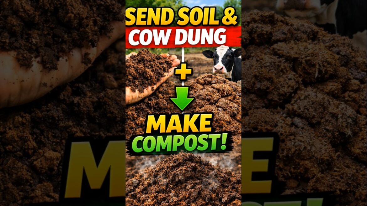 How To Make Plants Potting Soil #pottingmix #gardening #shorts