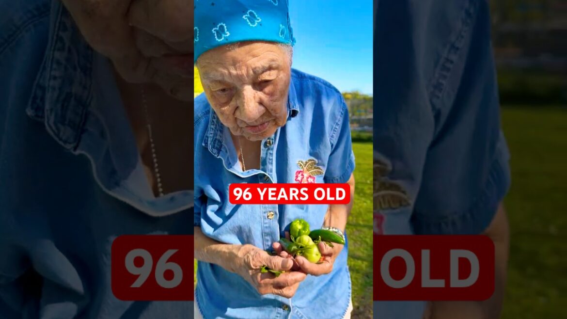 LOOK AT MY VEGETABLE GARDEN