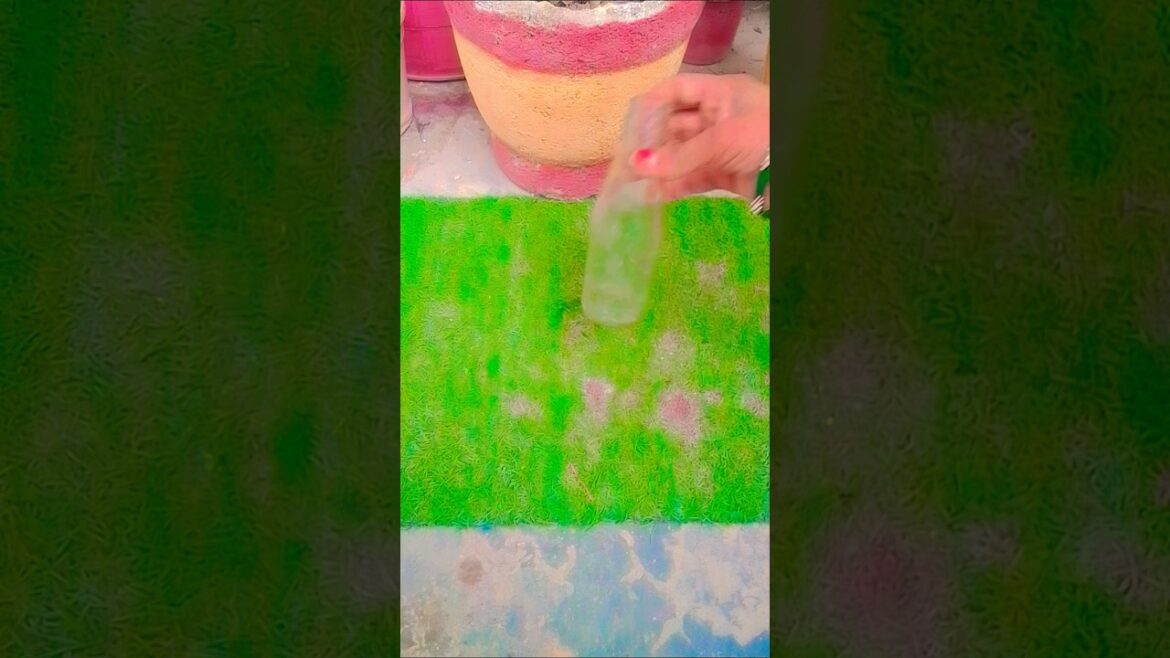 money plant मैं फिटकरी का जादू#gardening #money plant.        #motivation#nature#tips