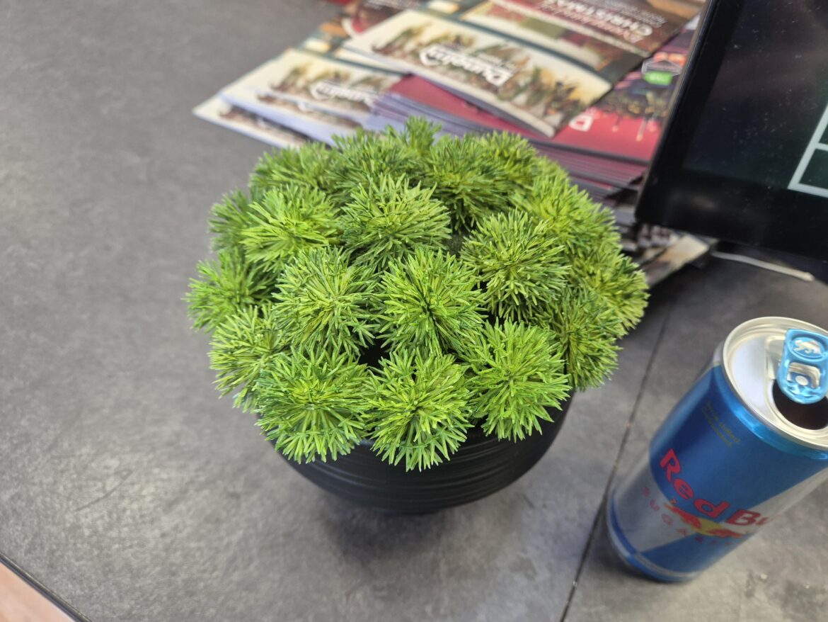 What is this supposed to be