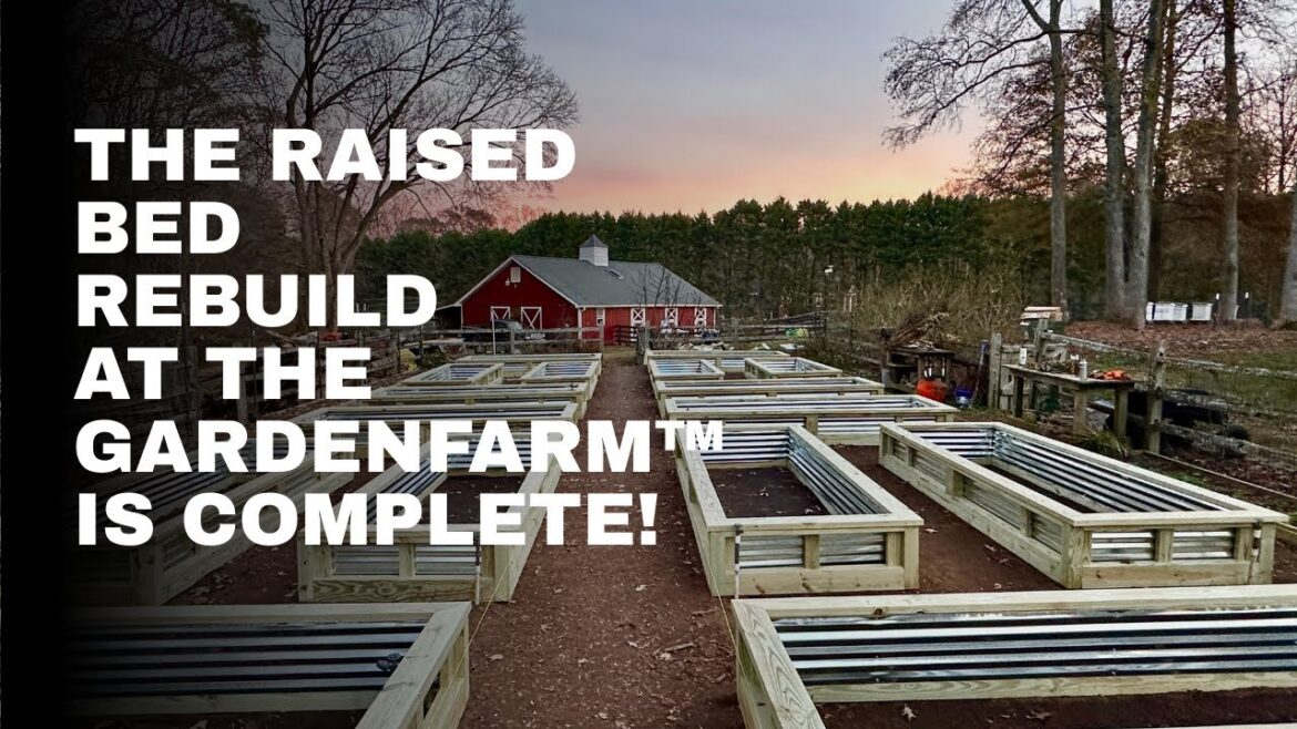 Inside the GardenFarm™ Raised Bed Rebuild | Design, Materials, and Process Inside the GardenFarm™ Raised Bed Rebuild | Design, Materials, and Process