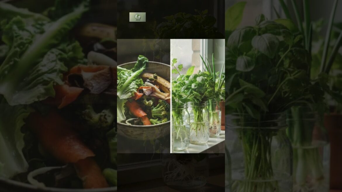 βI Grew FREE Veggies From Scraps π± In Just 10 Days!β βI Grew FREE Veggies From Scraps π± In Just 10 Days!β