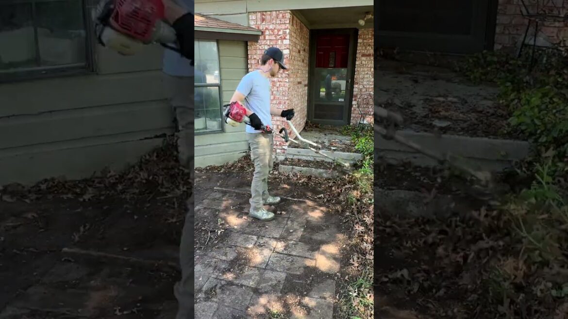 Brother and Sister PASS AWAY, leaving their neighboring homes UNTAMED