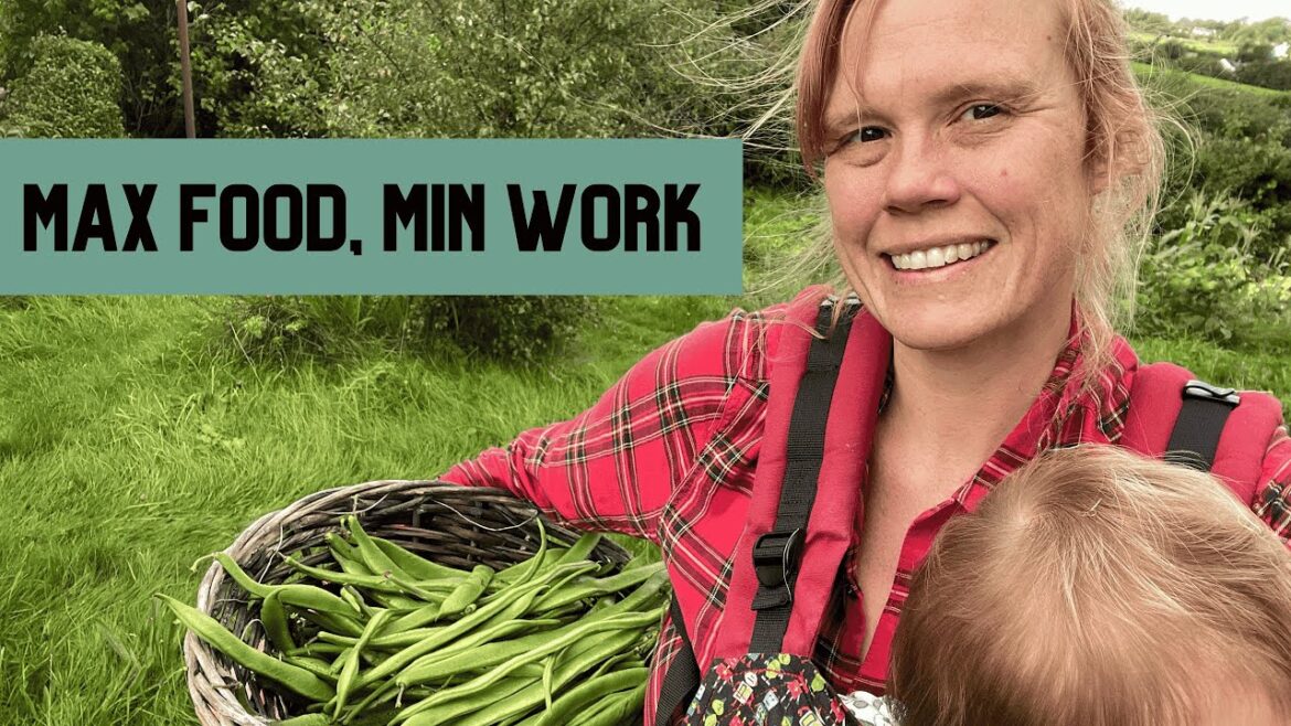 8 Lazy Gardening Rules I Swear By – Tips from a lazy gardener 8 Lazy Gardening Rules I Swear By - Tips from a lazy gardener