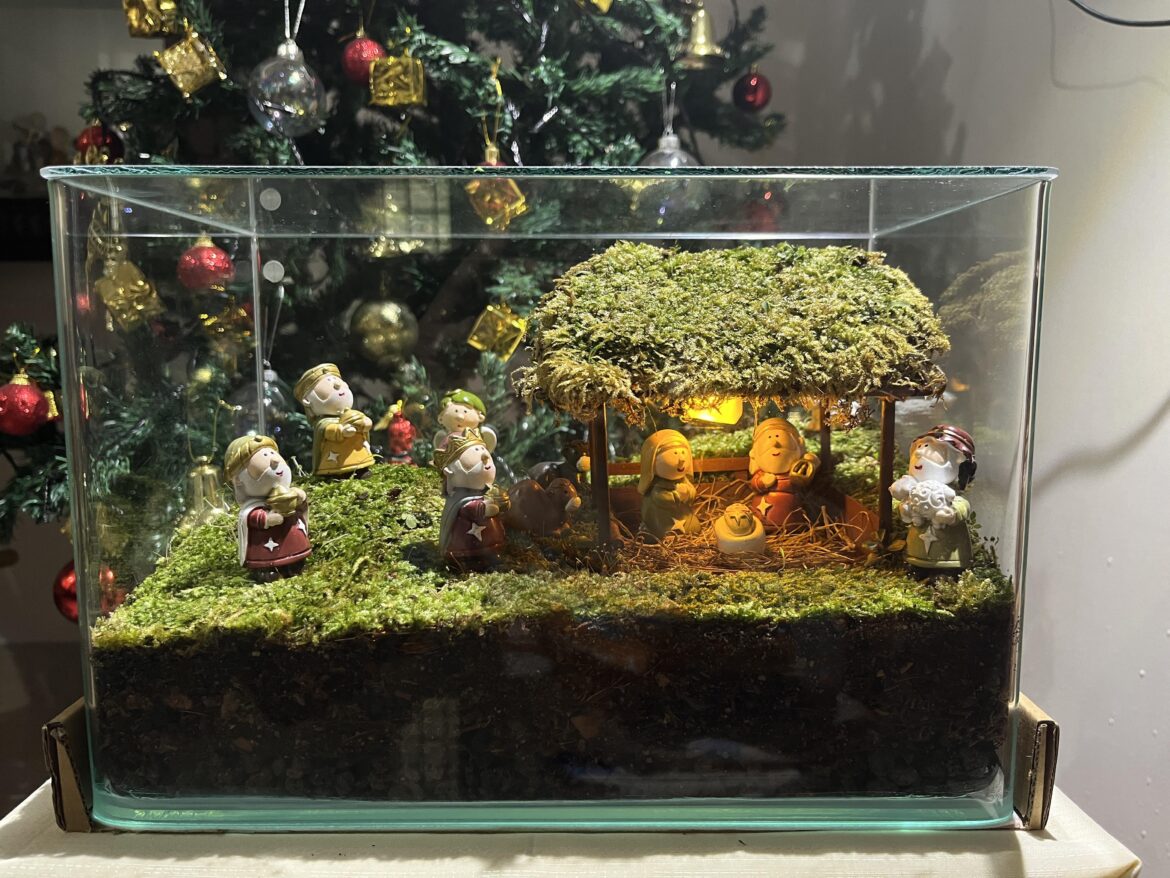 Christmas Terrarium Crib