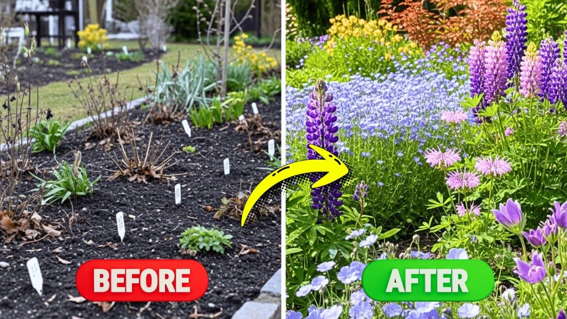 Plant These Seeds in Winter or Regret It Later π± | 7 Perennials for HUGE Spring Blooms Plant These Seeds in Winter or Regret It Later π± | 7 Perennials for HUGE Spring Blooms
