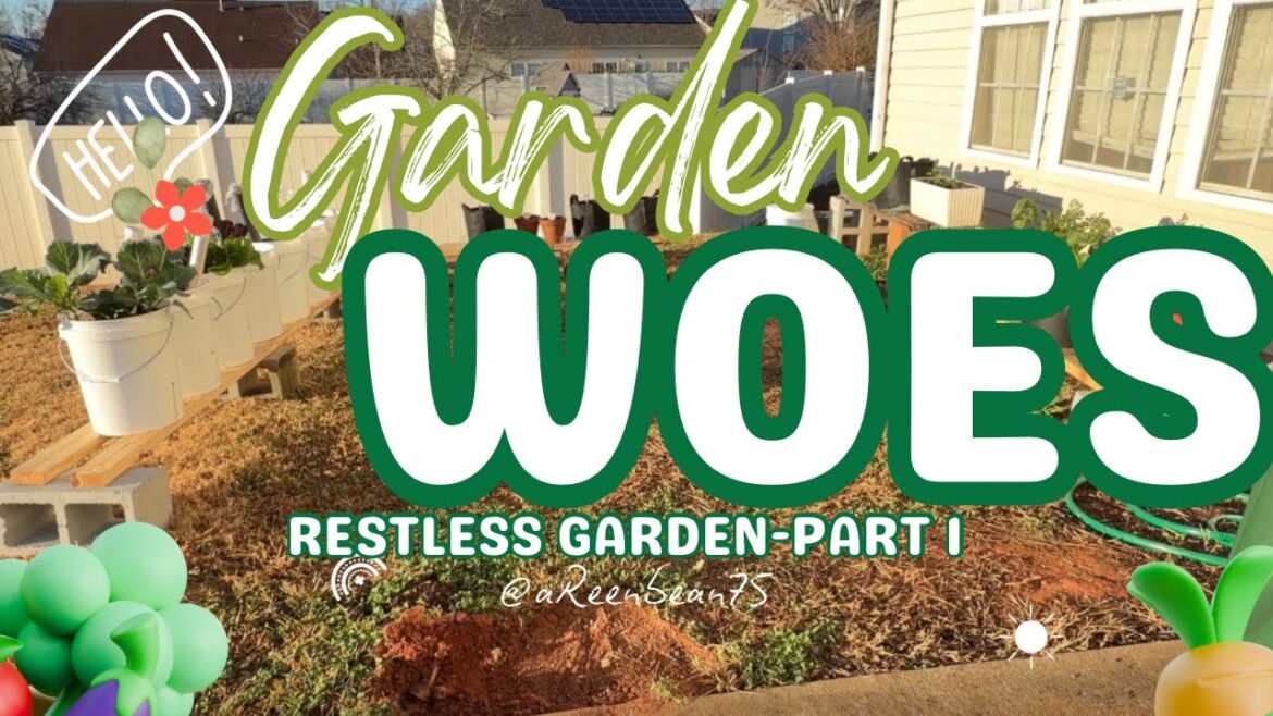 My FIRST Garden Rearrangement (But Not the Last 😂) | Container Gardening Chaos!