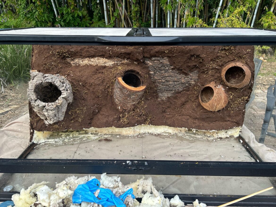 First vivarium crisis First vivarium crisis