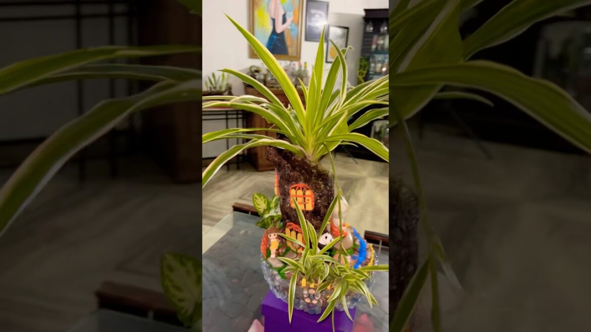 Small Zen Garden Ideas | Micro Landscape of Spider Plant | Amazing artwork with Tree bark #shorts#yt