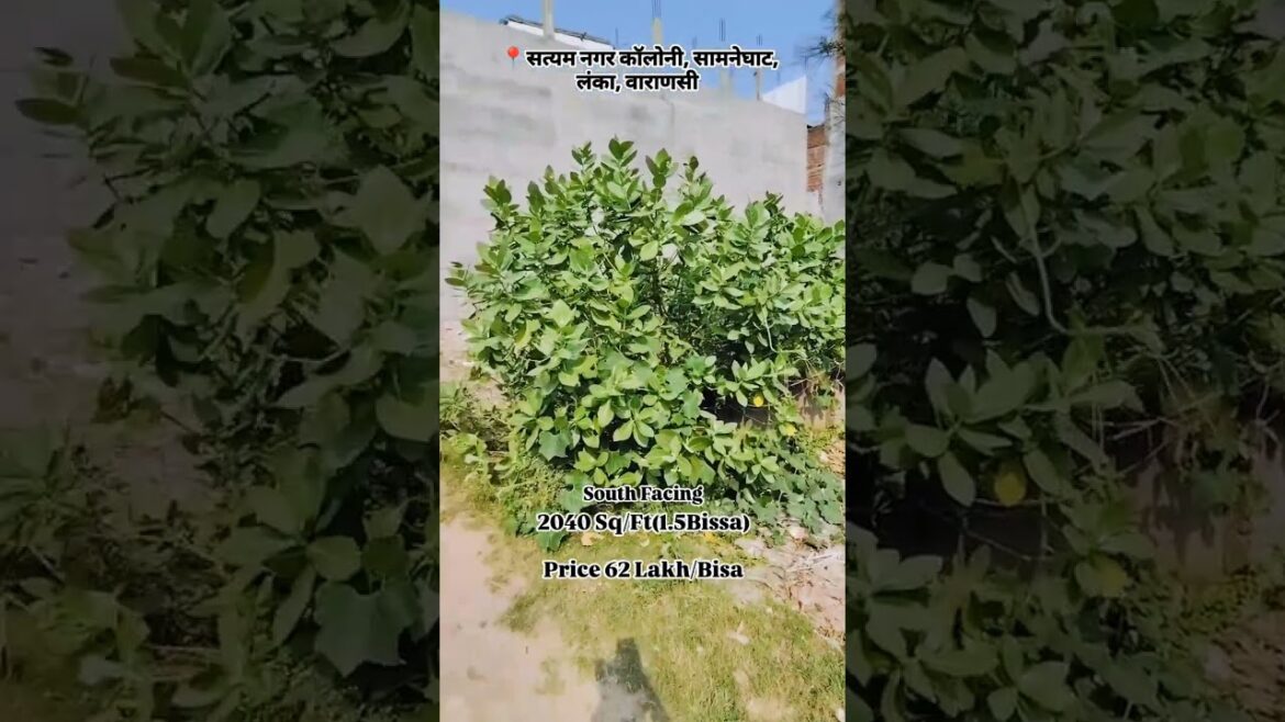 Plot In Lanka #varanasi #plotinvaranasi #plots #realestate